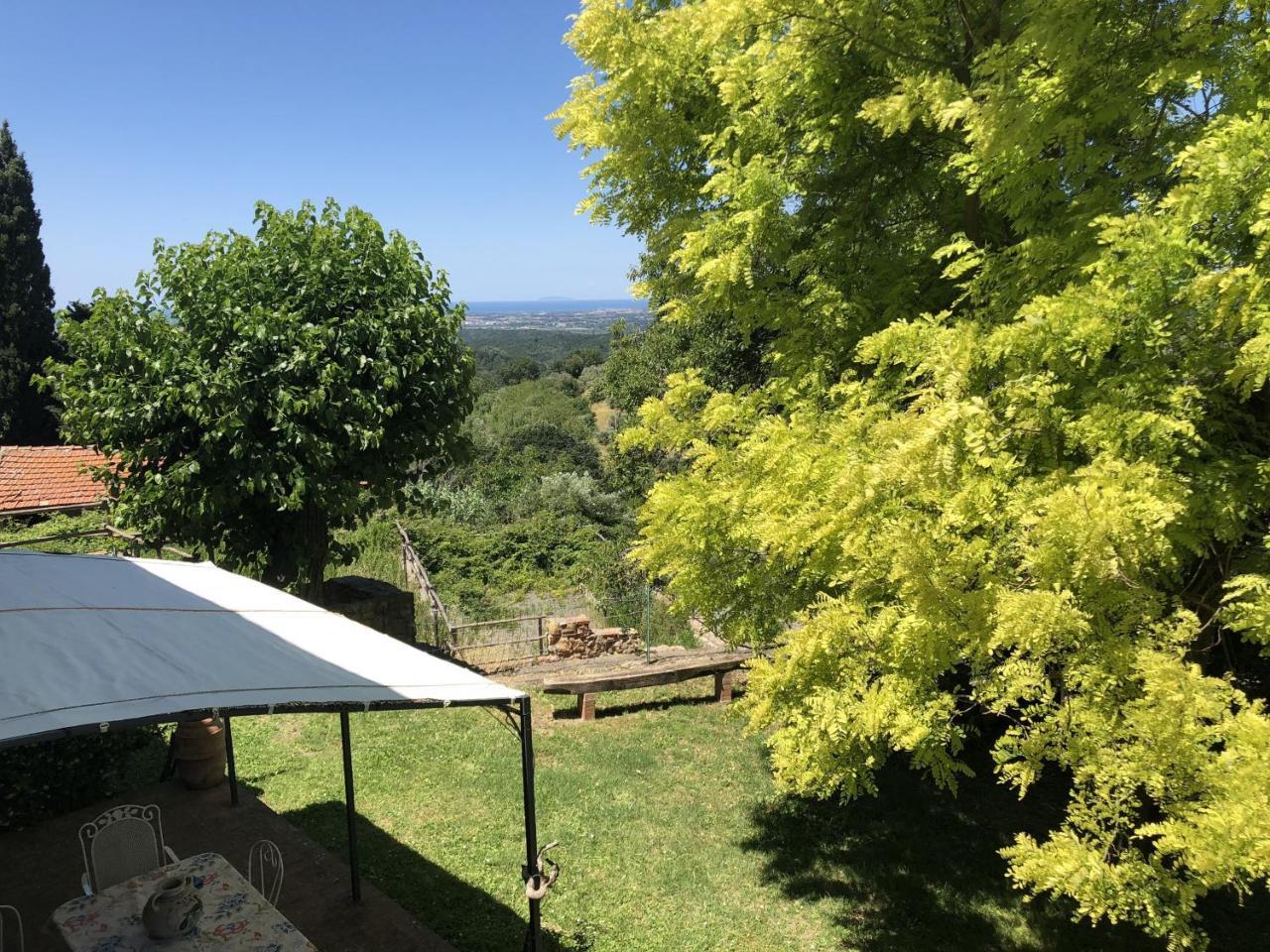Haus Malerin - Meerblick, Umzaeunter Garten By Toscanatour Guardistallo Buitenkant foto